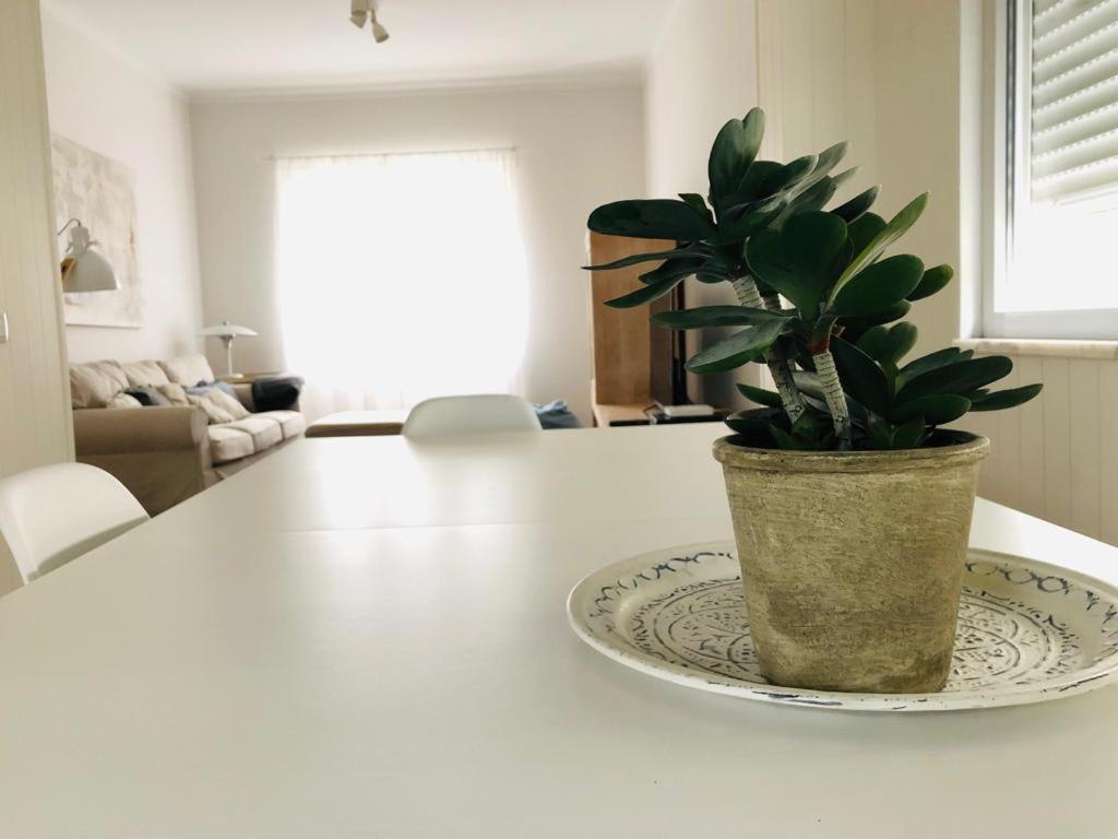Apartamento Espacoso E Confortavel No Centro Do Montijo Appartement Buitenkant foto